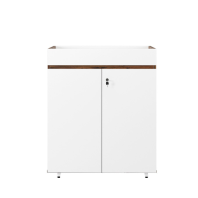 TỦ TÀI LIỆU LUXURY-LUX1000-2T2